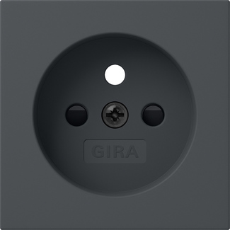 Gira 494528 Pic_1