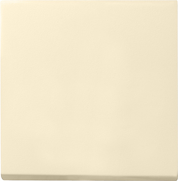 GIRA ELEKTROTECHN. INDUSTRIE 029601 Pic_1