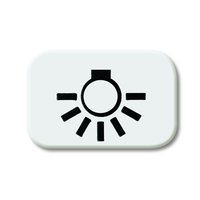 Busch-jaeger 2525 LI-214 Pic_1