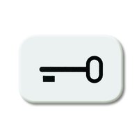 Busch-jaeger 2525 TR-214 Pic_1