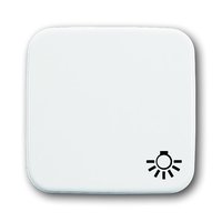 Busch-jaeger 2520 LI-214 Pic_1