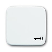 Busch-jaeger 2520 TR-214 Pic_1