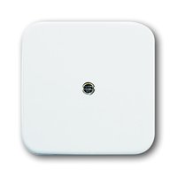 Busch-jaeger 2536-214 Pic_1