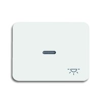 Busch-jaeger 1789 LI-24 Pic_1