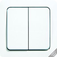 Jung 5561-5 WW Pic_1