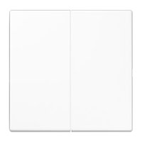 Jung LS 995 WW Pic_1