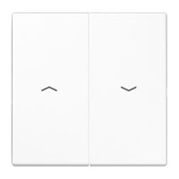 Jung LS 995 P WW Pic_1