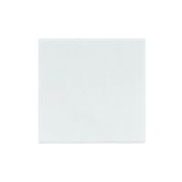 Jung LS 961 B WW Pic_1