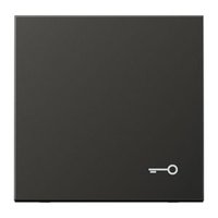 Jung AL 2990 T AN Pic_1