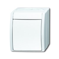 Busch-jaeger 2621 W-54 Pic_1