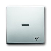 Busch-jaeger 1789 LI-866 Pic_1