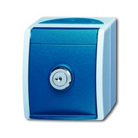 Busch-jaeger 20 EWSL-101-53 Pic_1