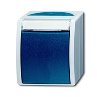 Busch-jaeger 2601/6 W-53 Pic_1