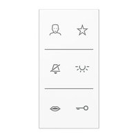 Jung SI V6 LS DC WW Pic_1