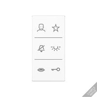 Jung SI V6 A DC ANM Pic_1