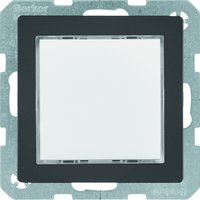 Berker 29526086 Pic_1