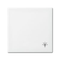 Busch-jaeger 2520 LI-914 Pic_1