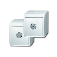 Busch-jaeger 20/20 EWSL-54 Pic_1