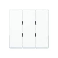 Jung A 593 BF WW Pic_1