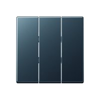 Jung A 593 BF ANM Pic_2