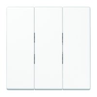 Jung LS 993 BF WW Pic_1