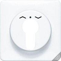 Jung CD 528 PT Pic_1