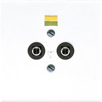 Jung LS 965-2 WW Pic_1