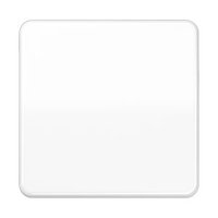 Jung CD 590 BF WW Pic_1