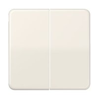 Jung CD 595 BF Pic_1