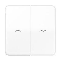 Jung CD 595 PBF WW Pic_1