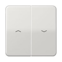 Jung CD 595 PBF LG Pic_1