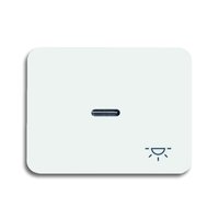 Busch-jaeger 1789 LI-24G Pic_1