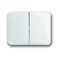 Busch-jaeger 1785-24G Pic_1