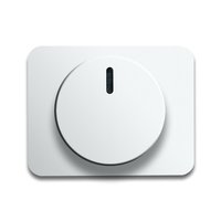 Busch-jaeger 6540-24G Pic_1