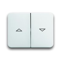 Busch-jaeger 1785 JA-24G Pic_1