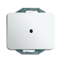 Busch-jaeger 1749-24G Pic_1