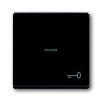 Busch-jaeger 1789 TR-81 Pic_1