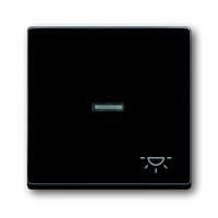 Busch-jaeger 1789 LI-81 Pic_1