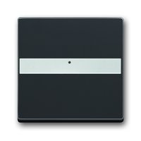 Busch-jaeger 1764 NLI-81 Pic_1