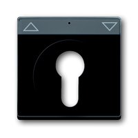 Busch-jaeger 1755 SL/PZ-81-101 Pic_1