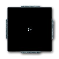 Busch-jaeger 1742-81 Pic_1