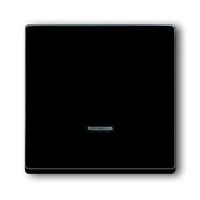 Busch-jaeger 6543-81-101 Pic_1