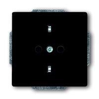 Busch-jaeger 20 EUCKS-81 Pic_1