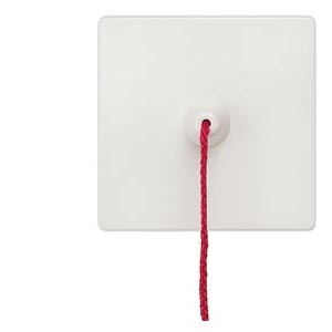 Siemens 5TG6217 Pic_2