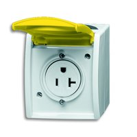 Busch-jaeger 3016 EWN-53 Pic_1