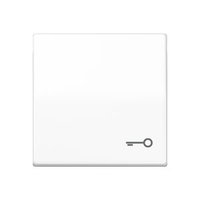 Jung AS 591 T WW Pic_1