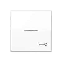 Jung AS 591 KO5T WW Pic_1