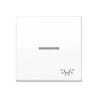 Jung AS 591 KO5L WW Pic_1