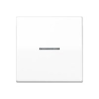 Jung AS 591 KO5 BF WW Pic_1