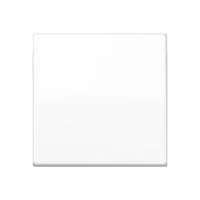 Jung AS 591 BF WW Pic_1